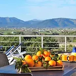Els Tarongers, Muro 081