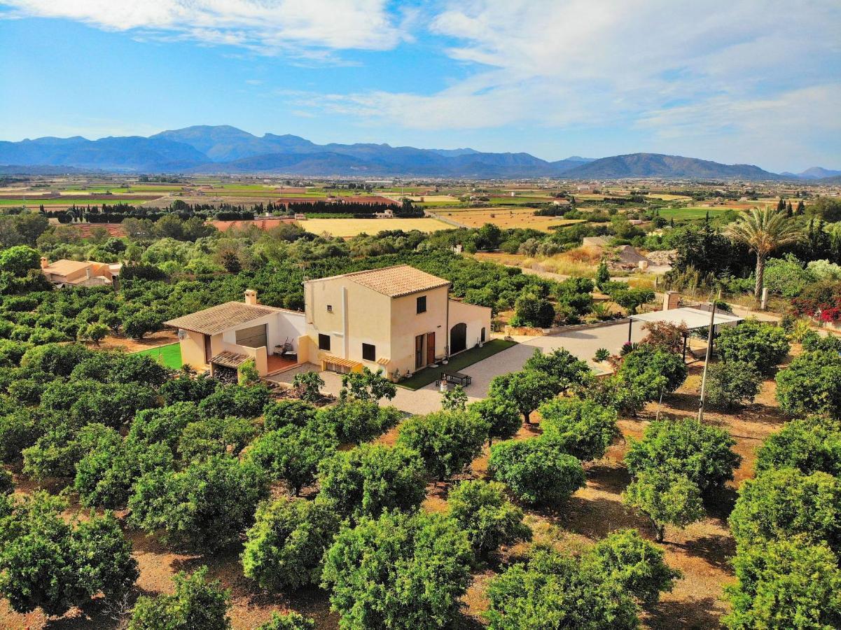 Ferienhaus 081 Els Tarongers Etv5766 By Mallorca Charme Muro